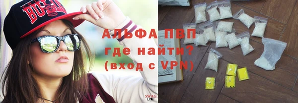 ПСИЛОЦИБИНОВЫЕ ГРИБЫ Инсар