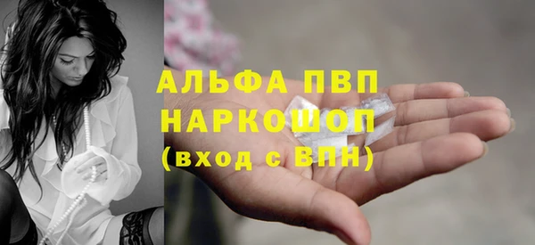 ПСИЛОЦИБИНОВЫЕ ГРИБЫ Инсар