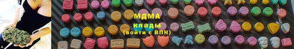 ПСИЛОЦИБИНОВЫЕ ГРИБЫ Инсар