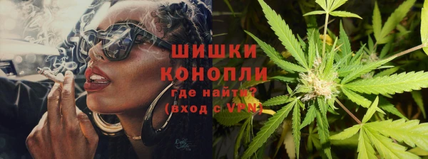 ПСИЛОЦИБИНОВЫЕ ГРИБЫ Инсар