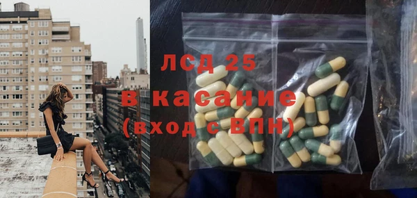 ПСИЛОЦИБИНОВЫЕ ГРИБЫ Инсар
