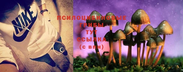 ПСИЛОЦИБИНОВЫЕ ГРИБЫ Инсар