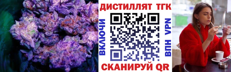 Купить где Гусиноозёрск ТГК концентрат