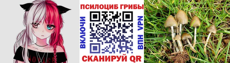 Псилоцибиновые грибы MAGIC MUSHROOMS  Купить  Гусиноозёрск 