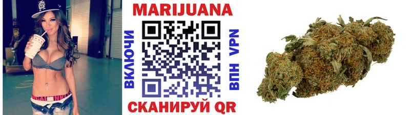 Бошки Шишки сатива  Купить закладки  Гусиноозёрск 